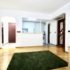  APARTAMENT COCHET, CHIAR LA INTRAREA IN PARCUL CISMIGIU!  thumb 3