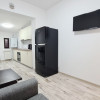 Apartament la curte Aviatiei-Promenada, prima inchiriere thumb 12