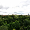 APARTAMENT  DECOMANDAT, CU PANORAMA SUPERBA IN PARCUL CISMIGIU! thumb 19