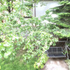 TELEVIZIUNE-ZAMBACCIAN, APARTAMENT 4 CAMERE IN VILA, 134 MP! thumb 12