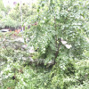 GORJULUI-STRADA VELEI, GARSONIERA DECOMANDATA, MODERNA! thumb 9