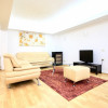 PIATA VICTORIEI-TITULESCU, APARTAMENT ELEGANT, LIVING 31 MP! thumb 4