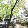BERCENI-OBREGIA, STR. DOROHOI, APARTAMENT MODERN CU PARCARE! thumb 15