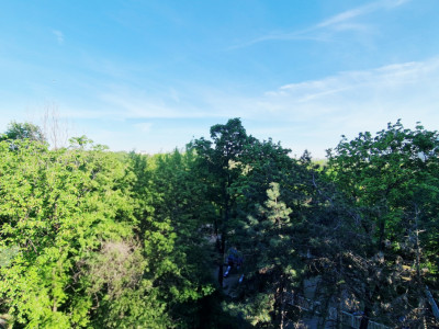 Apartament 3 camere Floreasca-Vedere Parc, liber