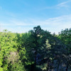Apartament 3 camere Floreasca-Vedere Parc, liber thumb 1