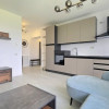 Penthouse Duplex, SunLake Residence, Panorama - Prima inchiriere thumb 12